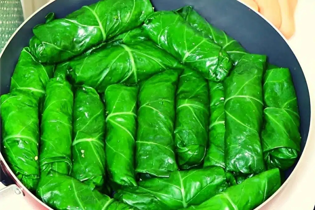 Charuto de couve recheado com carne moída, é uma delícia por completo e rende muito bem Charuto de couve recheado com carne moída, é uma delícia por completo e rende muito bem
